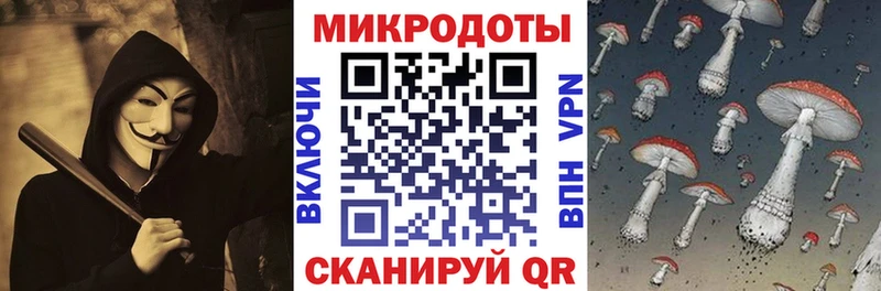 Псилоцибиновые грибы мицелий как найти Бобров