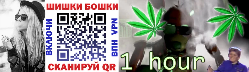 Бошки Шишки семена  Бобров 